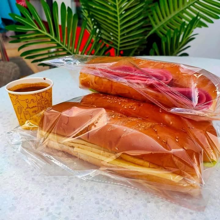 شعار Dr. Sandwiche
